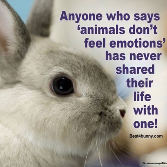 Welcome to my closet!! 😁🤗 - Picture 9 of 12